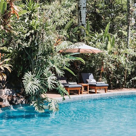 Overo Lodge & Selva Пуерто Игуасу Екстериор снимка